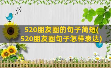 520朋友圈的句子简短(520朋友圈句子怎样表达)