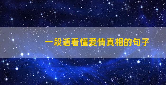 一段话看懂爱情真相的句子