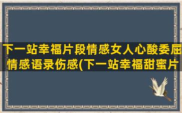 下一站幸福片段情感女人心酸委屈情感语录伤感(下一站幸福甜蜜片段)