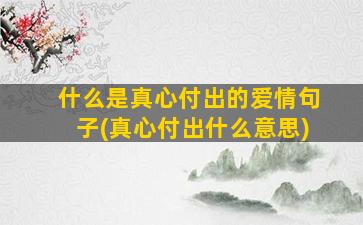 什么是真心付出的爱情句子(真心付出什么意思)