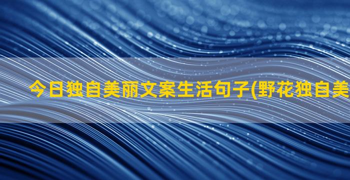 今日独自美丽文案生活句子(野花独自美丽的文案)