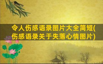 令人伤感语录图片大全简短(伤感语录关于失落心情图片)