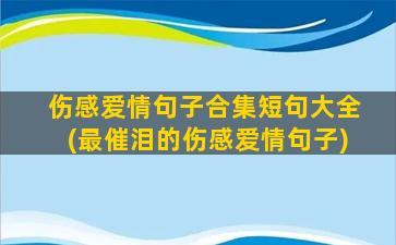 伤感爱情句子合集短句大全(最催泪的伤感爱情句子)