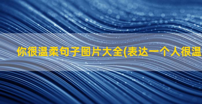 你很温柔句子图片大全(表达一个人很温柔的句子)