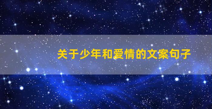 关于少年和爱情的文案句子