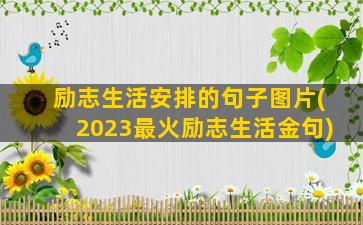 励志生活安排的句子图片(2023最火励志生活金句)