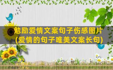 勉励爱情文案句子伤感图片(爱情的句子唯美文案长句)