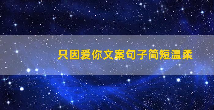 只因爱你文案句子简短温柔