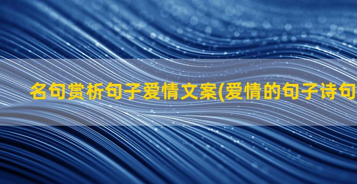 名句赏析句子爱情文案(爱情的句子诗句经典名句)