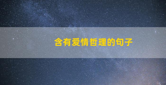 含有爱情哲理的句子