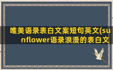 唯美语录表白文案短句英文(sunflower语录浪漫的表白文案)