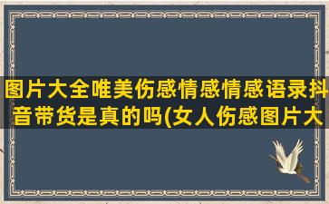 图片大全唯美伤感情感情感语录抖音带货是真的吗(女人伤感图片大全唯美伤感)