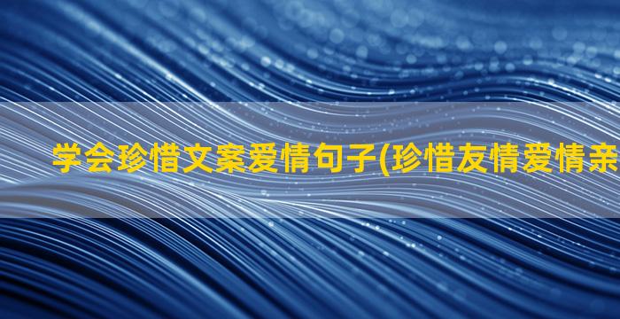 学会珍惜文案爱情句子(珍惜友情爱情亲情的文案)