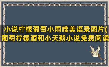 小说柠檬葡萄小雨唯美语录图片(葡萄柠檬酒和小天鹅小说免费阅读)