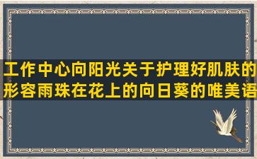 工作中心向阳光关于护理好肌肤的形容雨珠在花上的向日葵的唯美语录经典