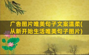 广告图片唯美句子文案温柔(从新开始生活唯美句子图片)