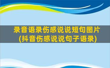 录音语录伤感说说短句图片(抖音伤感说说句子语录)