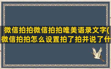 微信拍拍微信拍拍唯美语录文字(微信拍拍怎么设置拍了拍并说了什么)