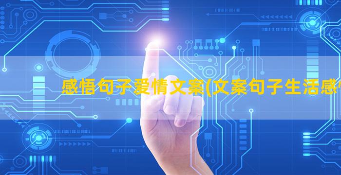 感悟句子爱情文案(文案句子生活感悟)