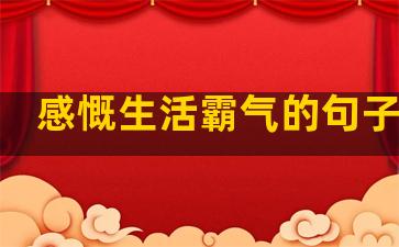 感慨生活霸气的句子简短