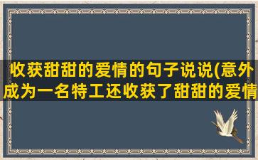 收获甜甜的爱情的句子说说(意外成为一名特工还收获了甜甜的爱情)