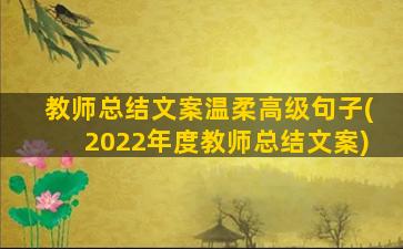 教师总结文案温柔高级句子(2022年度教师总结文案)