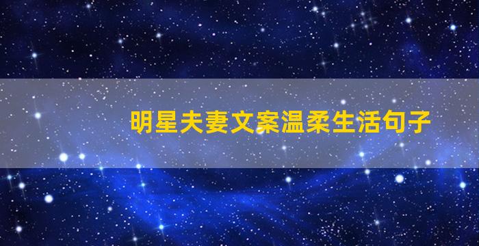 明星夫妻文案温柔生活句子