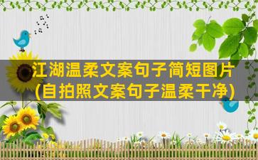 江湖温柔文案句子简短图片(自拍照文案句子温柔干净)