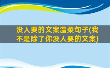 没人要的文案温柔句子(我不是除了你没人要的文案)