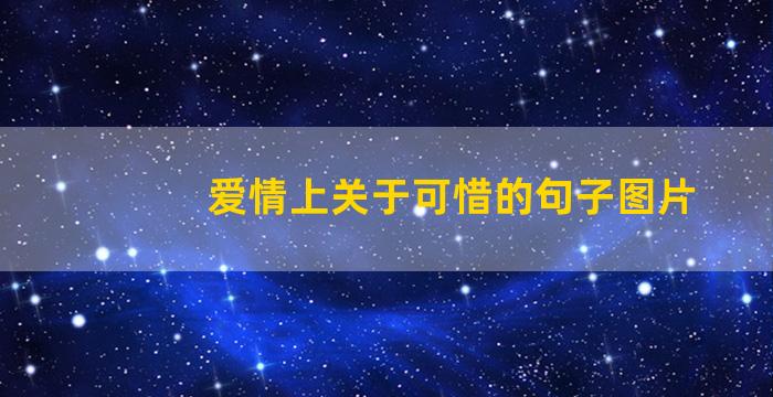 爱情上关于可惜的句子图片