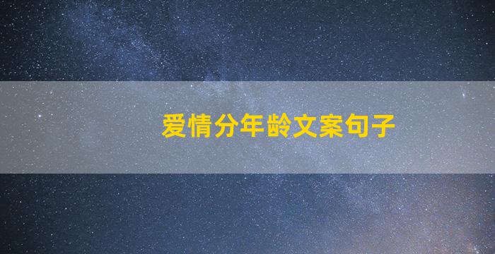 爱情分年龄文案句子