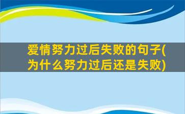 爱情努力过后失败的句子(为什么努力过后还是失败)