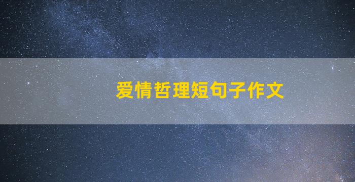 爱情哲理短句子作文