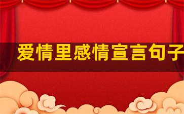 爱情里感情宣言句子简短