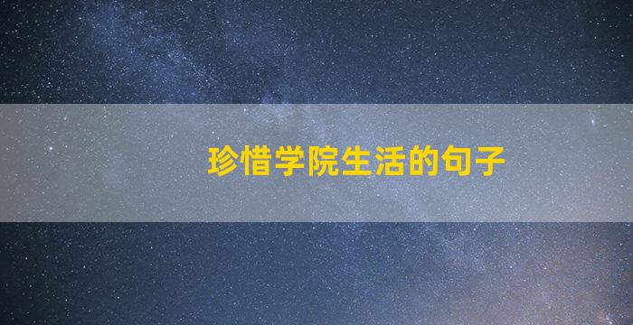 珍惜学院生活的句子