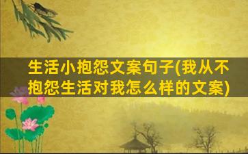 生活小抱怨文案句子(我从不抱怨生活对我怎么样的文案)