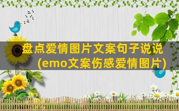 盘点爱情图片文案句子说说(emo文案伤感爱情图片)