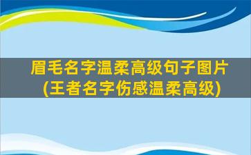 眉毛名字温柔高级句子图片(王者名字伤感温柔高级)