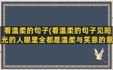 看温柔的句子(看温柔的句子见阳光的人眼里全都是温柔与笑意的意思)