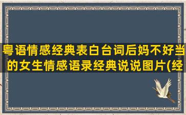 粤语情感经典表白台词后妈不好当的女生情感语录经典说说图片(经典粤语表白台词)