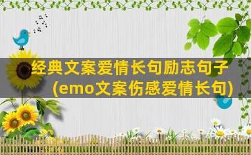 经典文案爱情长句励志句子(emo文案伤感爱情长句)