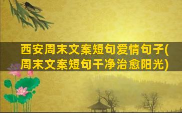 西安周末文案短句爱情句子(周末文案短句干净治愈阳光)