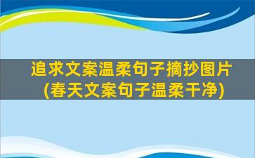 追求文案温柔句子摘抄图片(春天文案句子温柔干净)