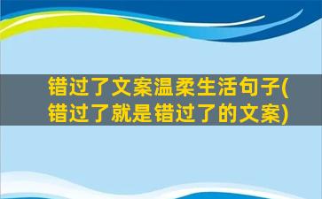 错过了文案温柔生活句子(错过了就是错过了的文案)